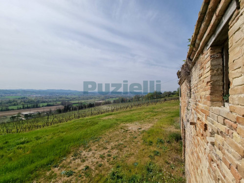 Azienda Agricola in vendita a Rapagnano