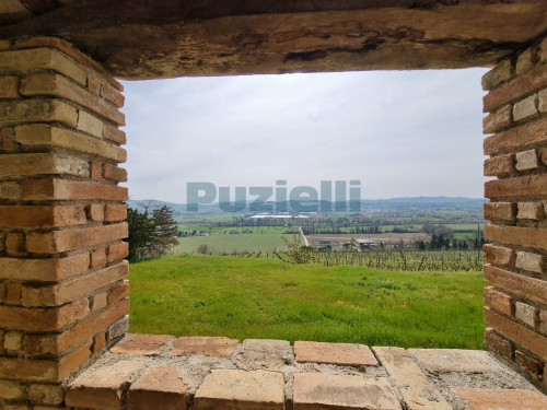 Azienda Agricola in vendita a Rapagnano