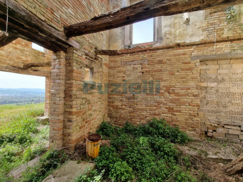 Azienda Agricola in vendita a Rapagnano