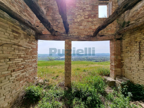 Azienda Agricola in vendita a Rapagnano