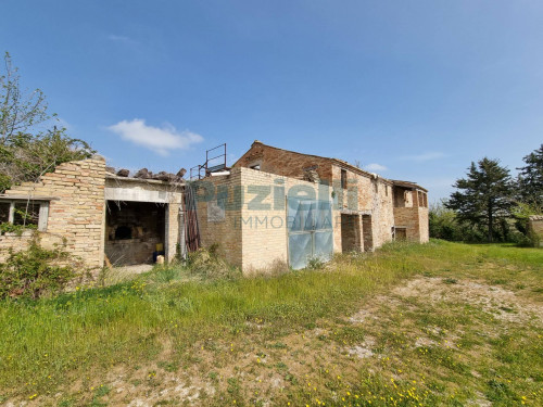 Azienda Agricola in vendita a Rapagnano