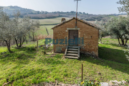  for sale in Montottone