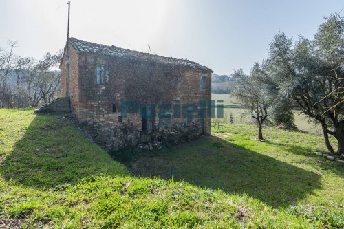  for sale in Montottone