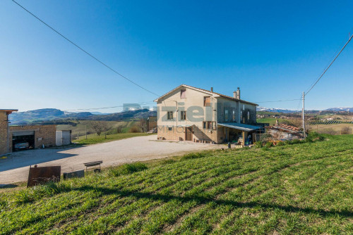  for sale in Falerone