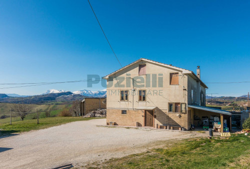  for sale in Falerone