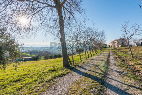 Casale in vendita a Montegiorgio