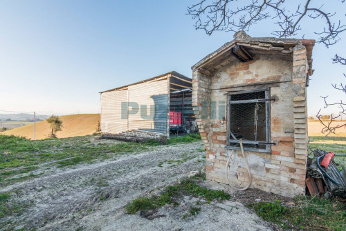 Casale in vendita a Montegiorgio