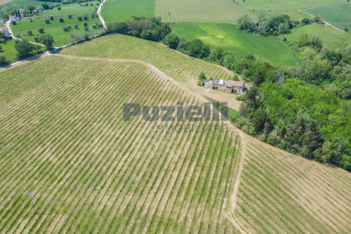 Azienda Agricola in vendita a Rapagnano