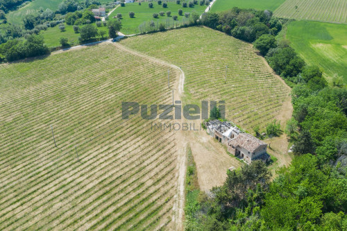 Azienda Agricola in vendita a Rapagnano