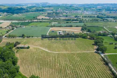 Azienda Agricola in vendita a Rapagnano