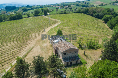 Azienda Agricola in vendita a Rapagnano