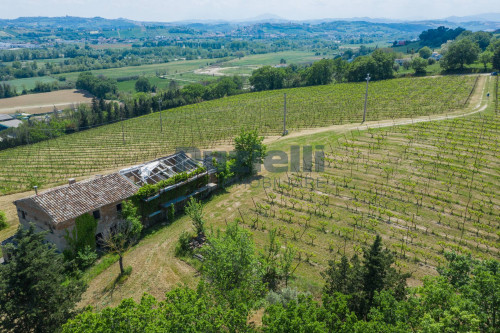 Azienda Agricola in vendita a Rapagnano