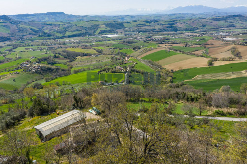  for sale in Monterubbiano