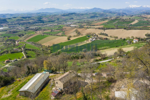  for sale in Monterubbiano