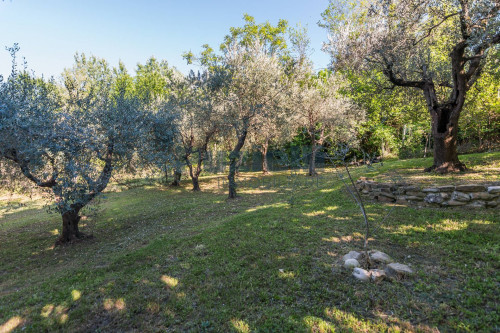 Villa in vendita a Maltignano