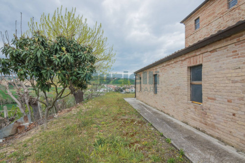  for sale in Fermo