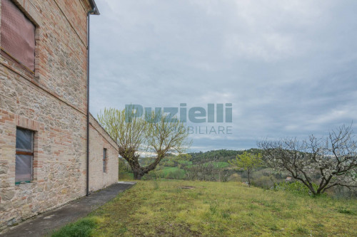  for sale in Fermo