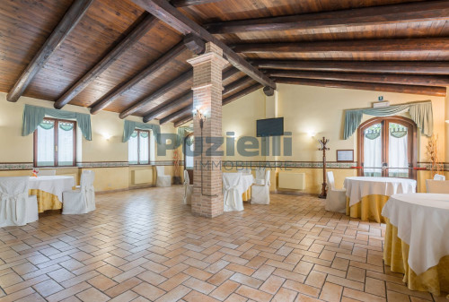  for sale in Fermo