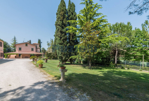  for sale in Fermo