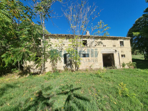  for sale in Fermo