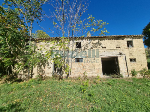  for sale in Fermo