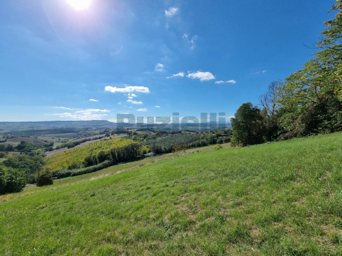 Rustico in vendita a Fermo