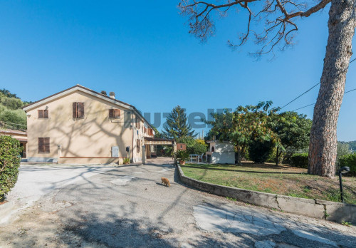  for sale in Fermo