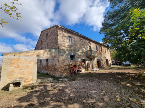 Casa singola in vendita a Montedinove