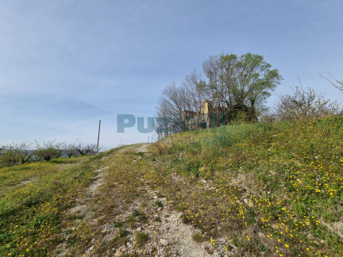  for sale in Monterubbiano