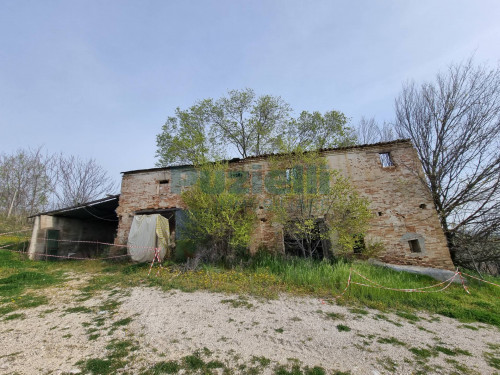  for sale in Monterubbiano