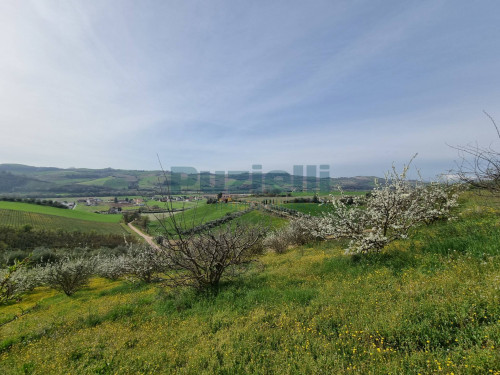 Casale in vendita a Monterubbiano