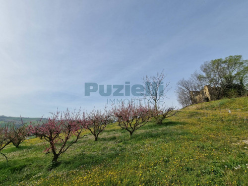 Casale in vendita a Monterubbiano