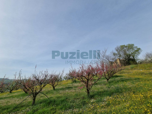 Casale in vendita a Monterubbiano