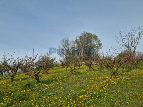 Casale in vendita a Monterubbiano