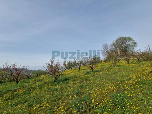 Casale in vendita a Monterubbiano