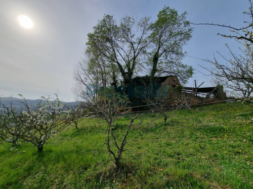  for sale in Monterubbiano