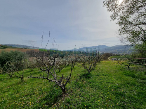 Casale in vendita a Monterubbiano