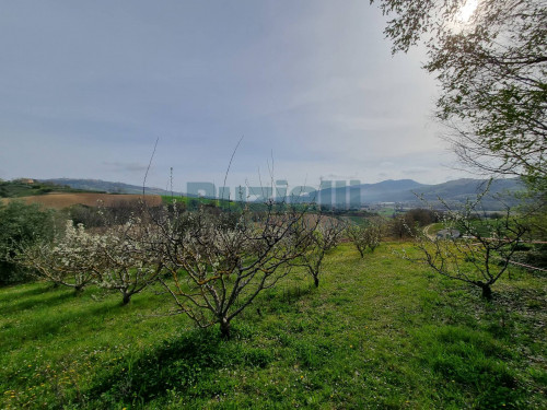 Casale in vendita a Monterubbiano