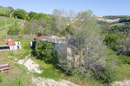  for sale in Monterubbiano