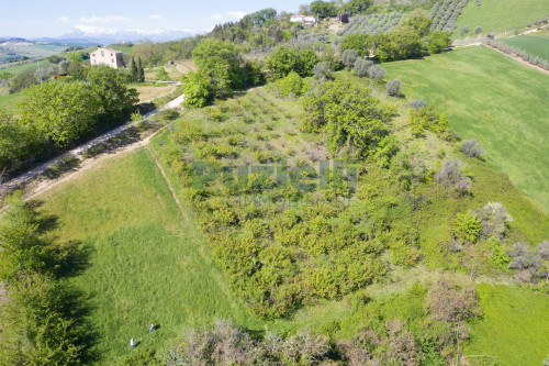  for sale in Monterubbiano