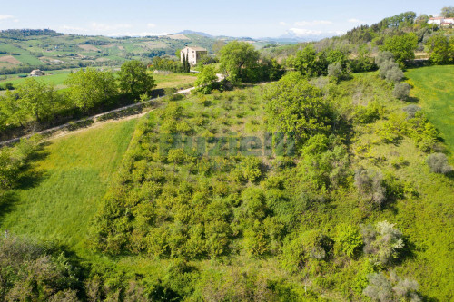  for sale in Monterubbiano