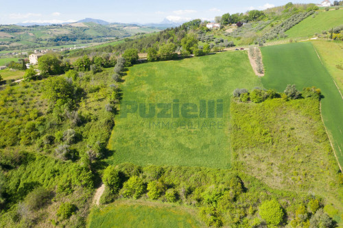 Casale in vendita a Monterubbiano