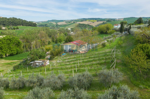 Casa singola in vendita a Fermo