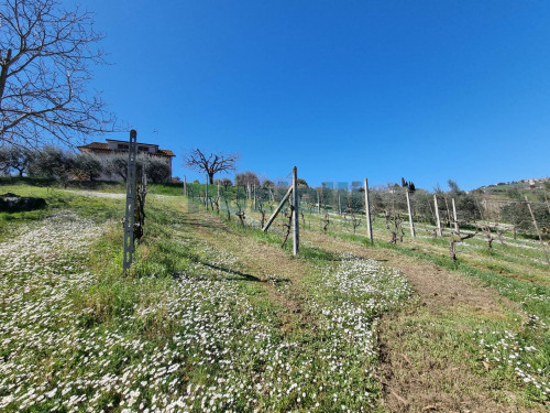 Casa singola in vendita a Fermo