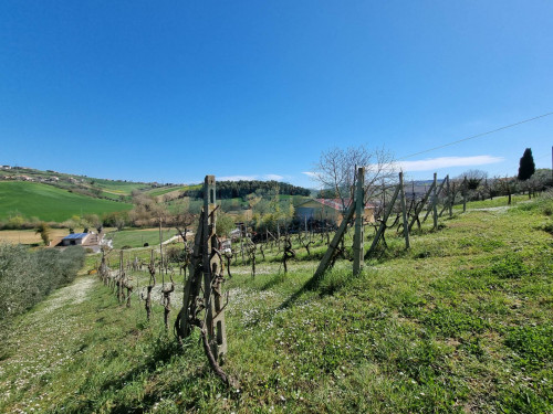 Casa singola in vendita a Fermo