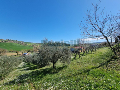 Casa singola in vendita a Fermo