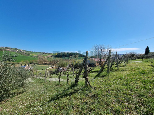 Casa singola in vendita a Fermo