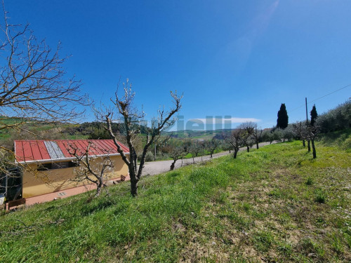 Casa singola in vendita a Fermo