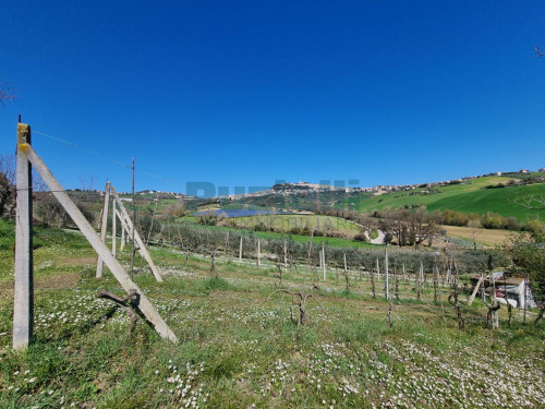 Casa singola in vendita a Fermo