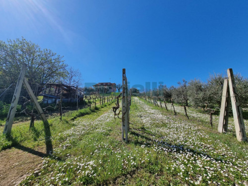 Casa singola in vendita a Fermo